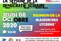 AFFICHE Elections MDL 2020